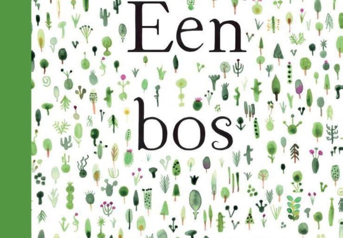 Boek Een Bos Marc Martin