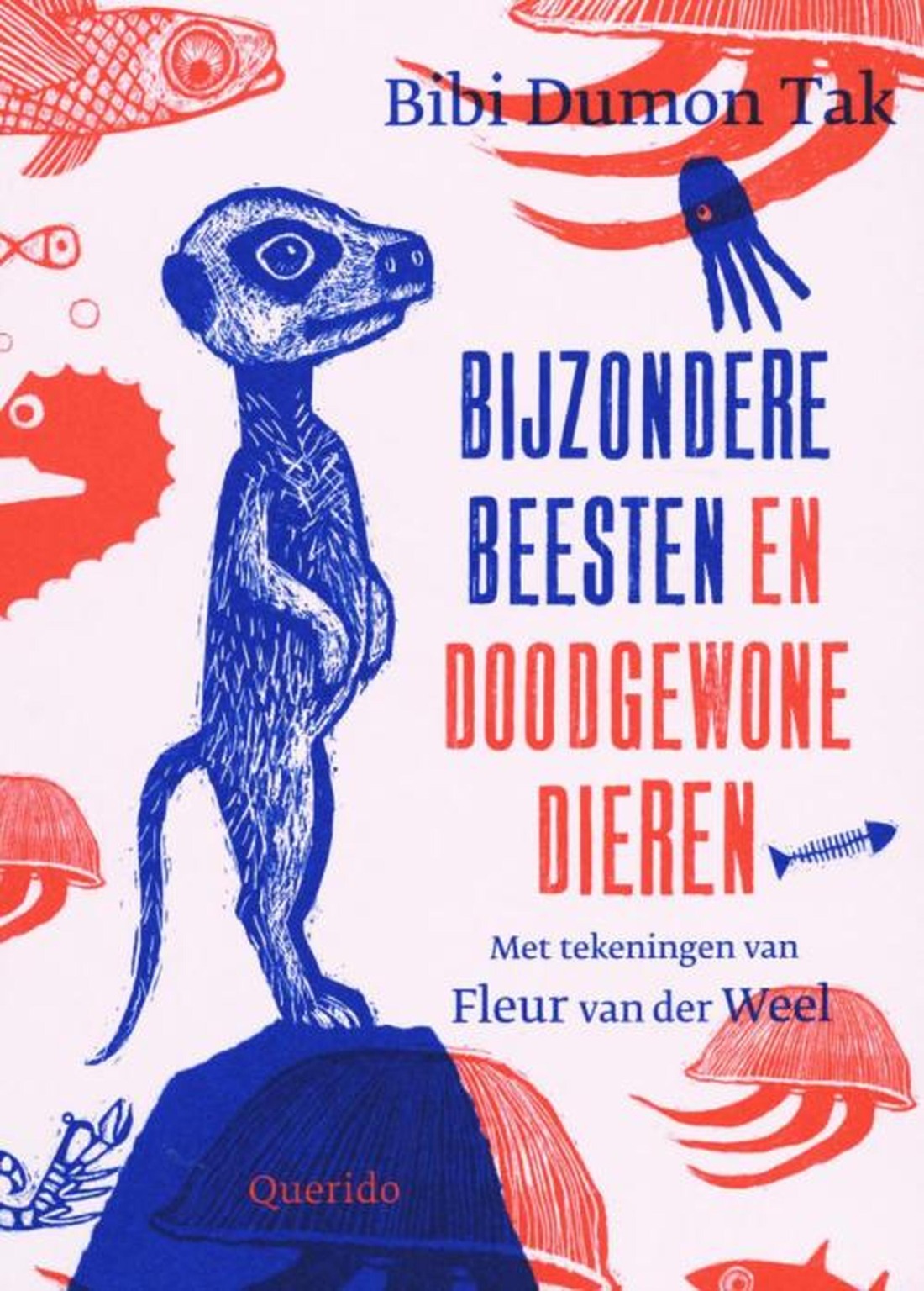 Close-reading-Bijzondere-beesten-en-doodgewone-dieren.jpg
