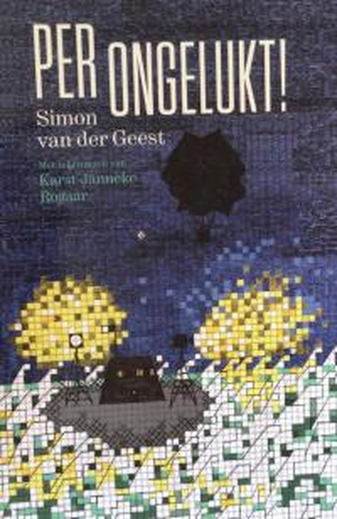Per-ongelukt.jpg