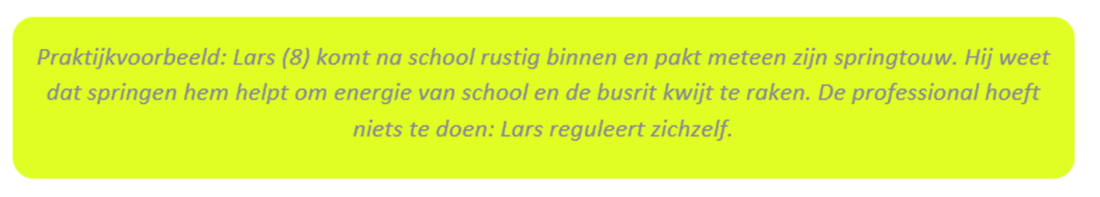 Praktijkvoorbeeld-1.png