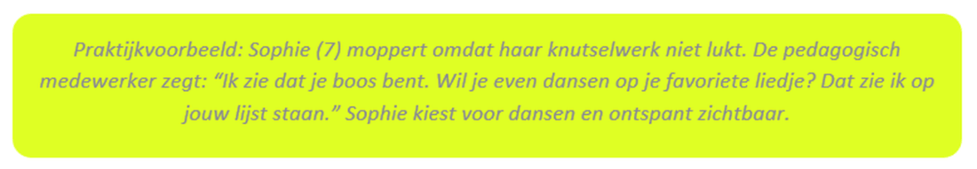 Praktijkvoorbeeld-2.png