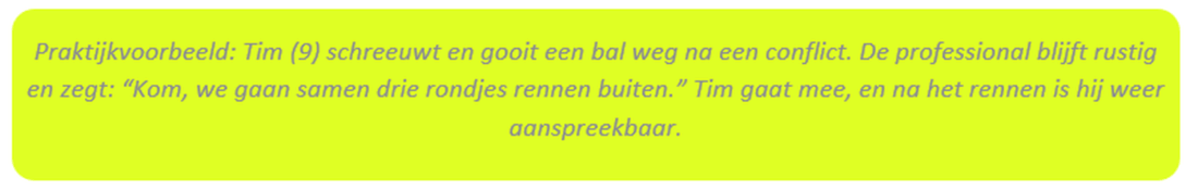 Praktijkvoorbeeld-3.png